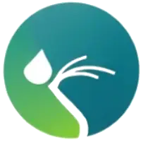 Jasa Relokasi Titik Sprinkler